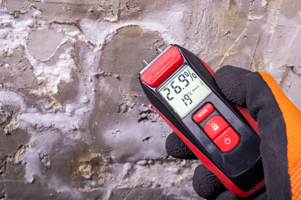 Best Professional Mold Removal  in North Falmouth, MA