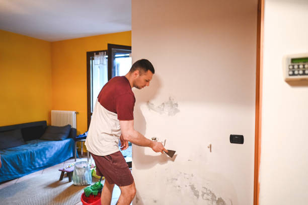 Best Local Mold Removal Service  in North Falmouth, MA